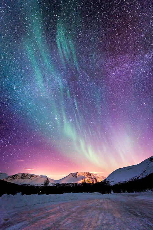 oecologia:  Breathe (Norway) by Trichardsen. 