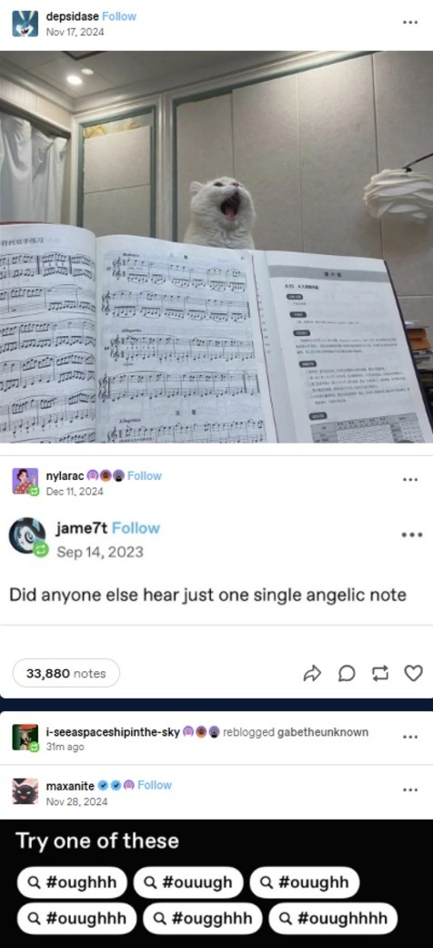 Tumblr media
