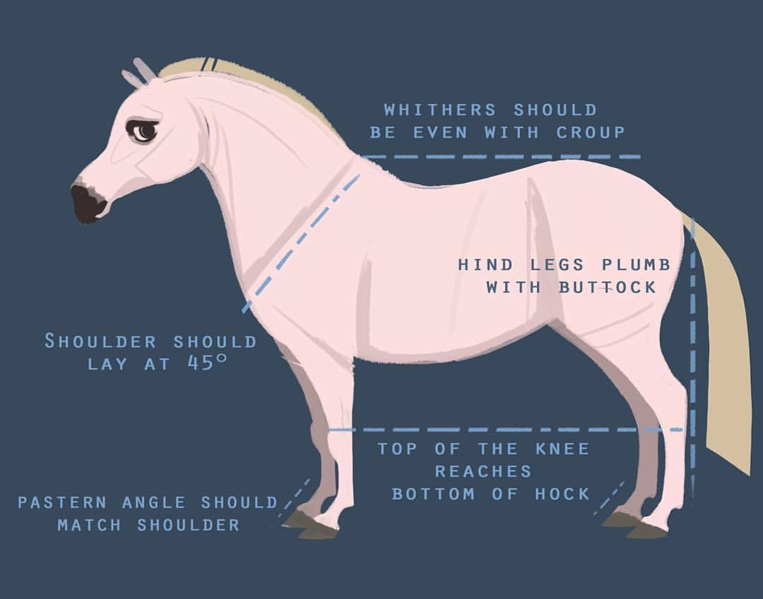 Copper-coated nails designed to improve hoof health - Horse & Hound