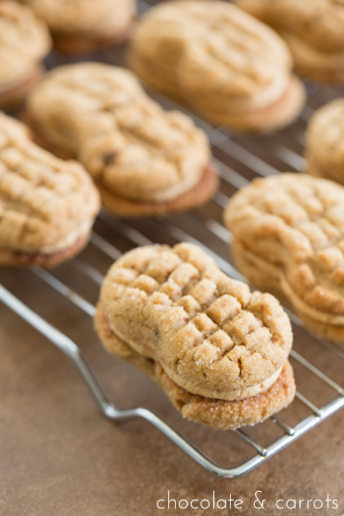 craving-nomz:  Homemade Nutter Butters