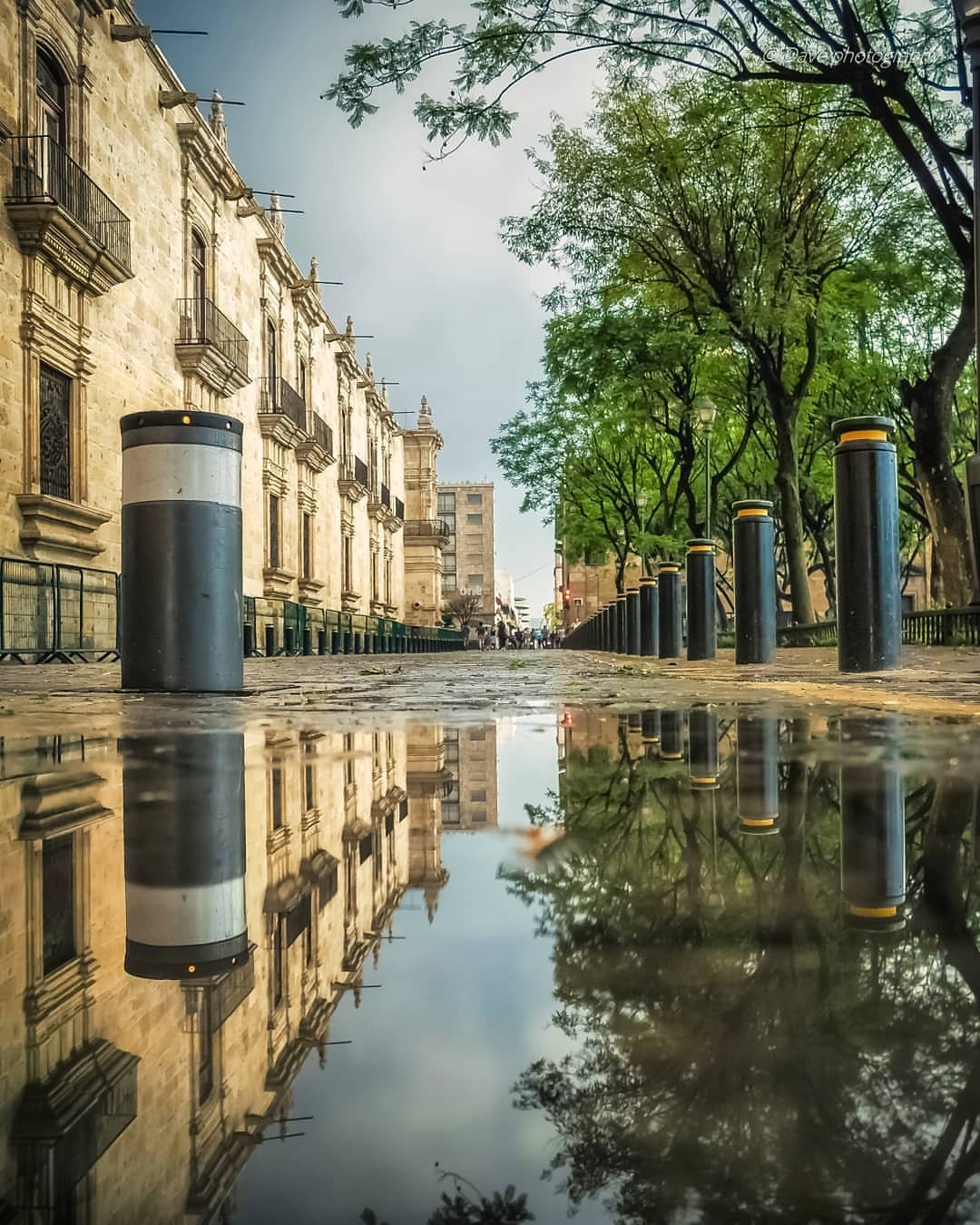 davesonico:
“Calles mojadas en el centro tapatío
.
.
.
#enguadalajara #fotoinformador #agameoftones #mexigers #CreativeMx #guadalajarafotos #communityfirst #milliondollarvisuals #megaphotographers #shotzdelight #gramkilla #moodygrams #murderdotcom...