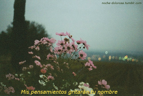 noche-dolorosa: Enchanted - Taylor Swift .