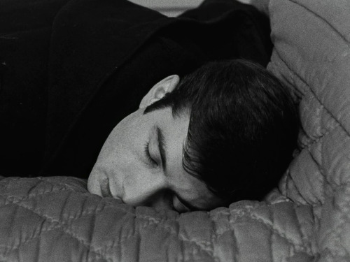 consquisiteparole: Le beau Serge, Claude Chabrol (1958) addormentarsi come jean-claude brialy 