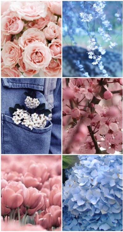 queer-positive:bigender (demigirl and demiboy) floral lockscreen