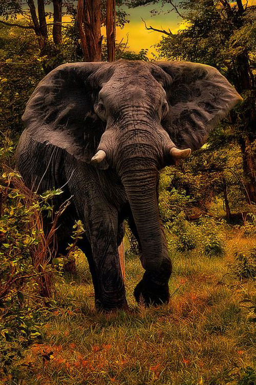 plasmatics-life:  Very angry | By Yara GB 