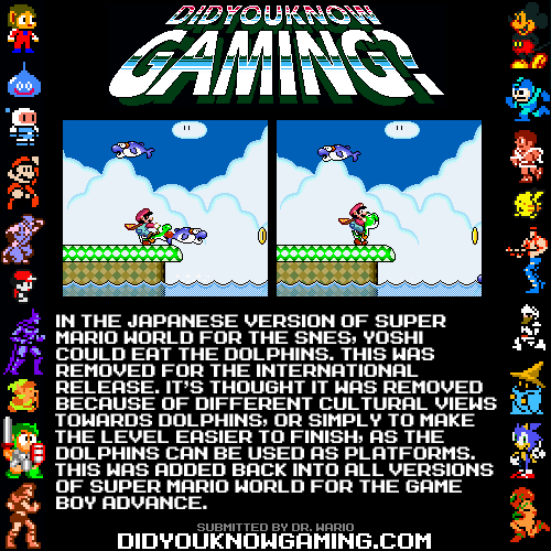 XXX didyouknowgaming:  Super Mario World.  http://www.themushroomkingdom.net/smw_j-e.shtml#dolphin photo