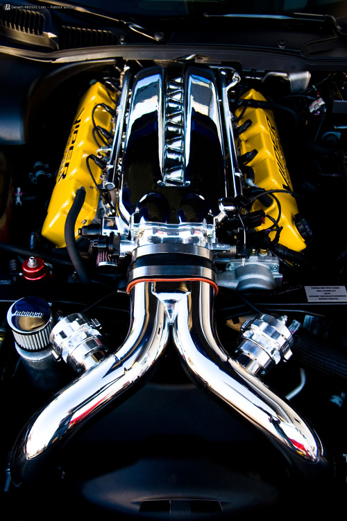 Porn photo desertmotors:  Hennessey Dodge Viper Venom