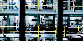 prison break