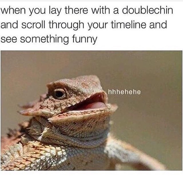 lookthroughmylookingglass:  I just did this shit I hate y'all lmfao