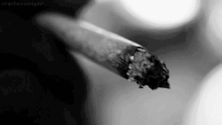 https://69.media.tumblr.com/5f11ac65a95ecc2d52d975b7762de66b/tumblr_mffzc6EY5t1riw686o1_500.gif