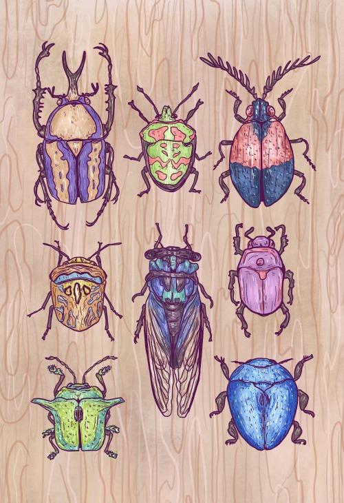 some beetles hanging out on some wood just doing their thing u kno