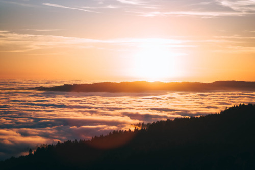 richhomiehua:Sunsets at Mt. Tamalpais instagram: richhomiehua  Gear: Leica M240 35mm