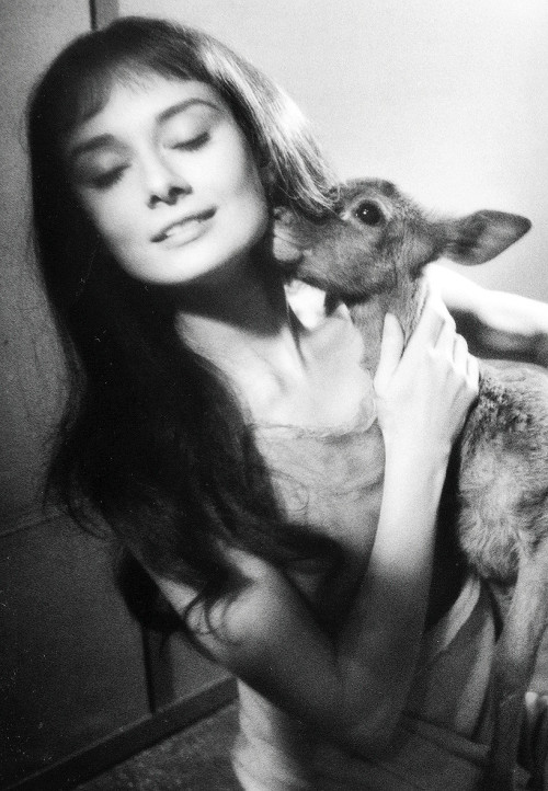 terrysmalloy:  Audrey Hepburn on set of ‘Green Mansions’ with her pet deer, Ip.