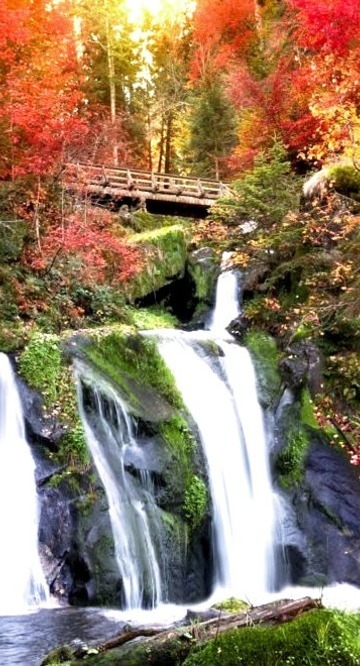 Black Forest Waterfall, Triberg, Germany