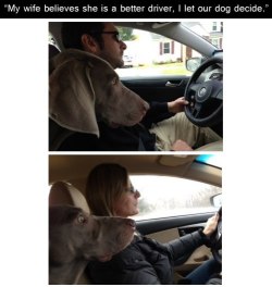 redditfront:  The better driver - via http://ift.tt/1Q67gSl