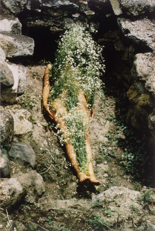 mayagoo:Ana Mendieta–“Earth-Body” Works1. Anima, Silueta de Cohetes, 19762. Flowers on Body, 19743. 