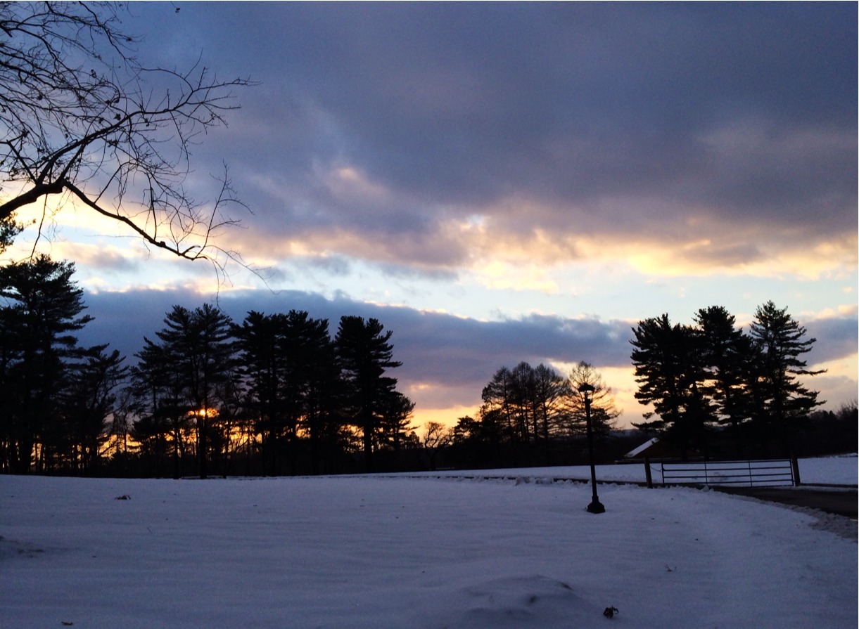 Snowy New Jersey Sunday.