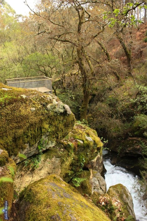 Pozo do Inferno, en CrecenteInfo: https://www.galiciamaxica.eu/galicia/pozo-do-inferno-rio-ribadil/