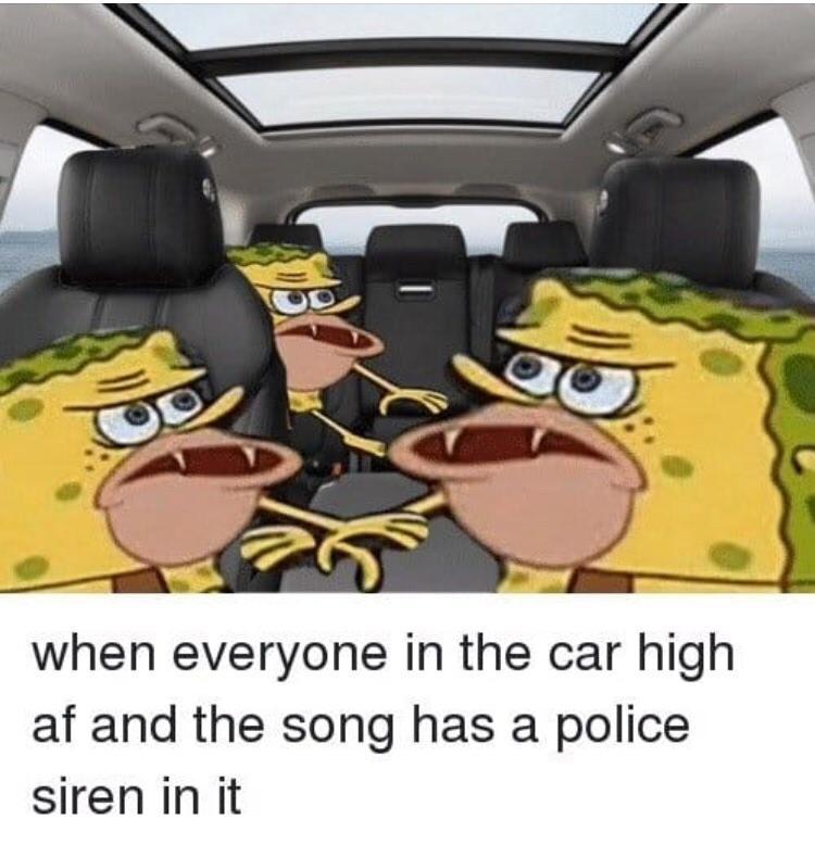 browsedankmemes:  Siren songs . . via /r/memes https://ift.tt/2wFLNzA