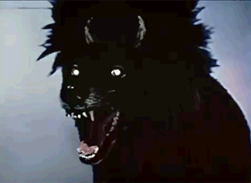 Bite The Hand That Feeds You