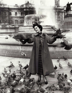 summers-in-sunnydale:  Elizabeth Taylor in London, 1948. Photographed by Mark Kauffman.
