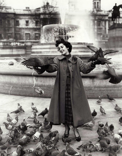 Summers-In-Sunnydale:  Elizabeth Taylor In London, 1948. Photographed By Mark Kauffman.