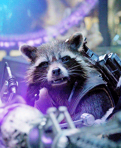 tomshardy: rocket being 1000% done with everything