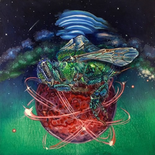 “Electron Constellation”, oil on wood, 10x10 I love continually playing with the macro /