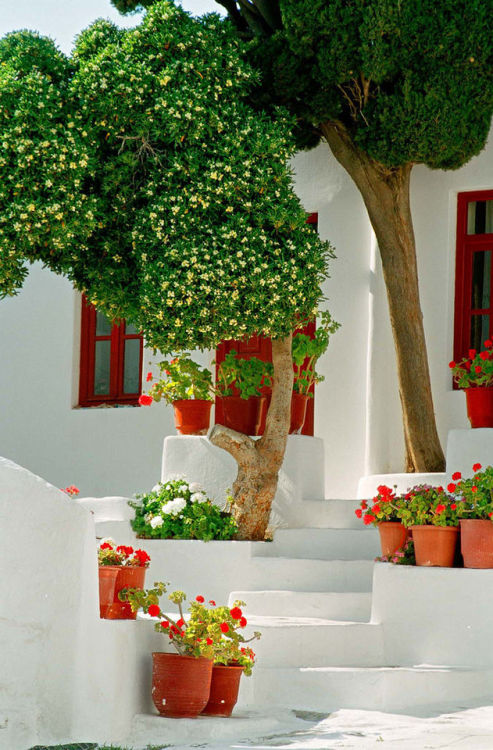 dreamtravelspots:Mykonos, Greece by 2bGreek