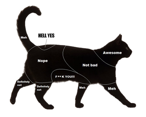 death-by-lulz:  tastefullyoffensive: Petting Charts for Cats and Dogs Via/Follow The Absolute Greatest Posts…ever. 