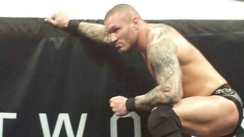 Sex smallestsnarkestgirl:  Randy Orton pics from pictures