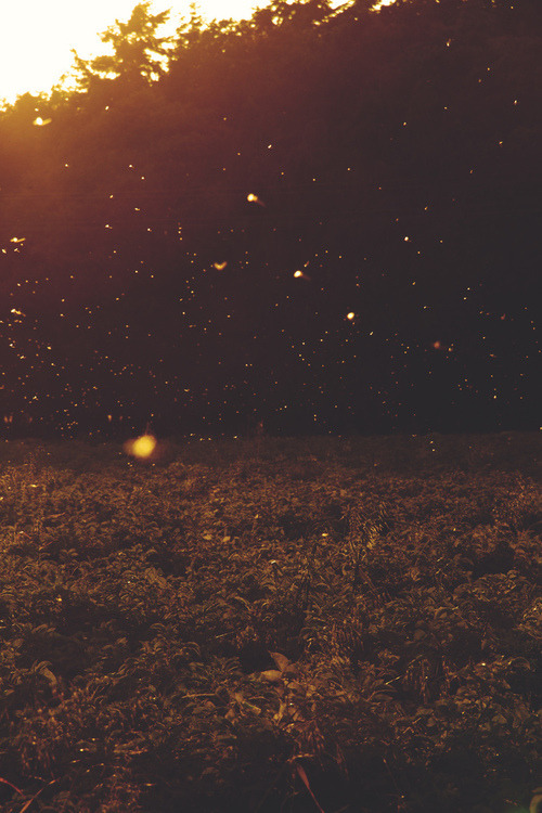 Crying Lightning