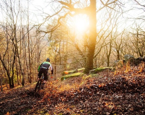 hopetech: Golden hour with @mattstuttard46… Image @duncanphilpott  #hopetech #hb211 #sunset i