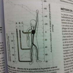 Studying fisiology when suddenly …A