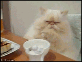 best-of-memes:  Animals for when you wish to show skepticism
