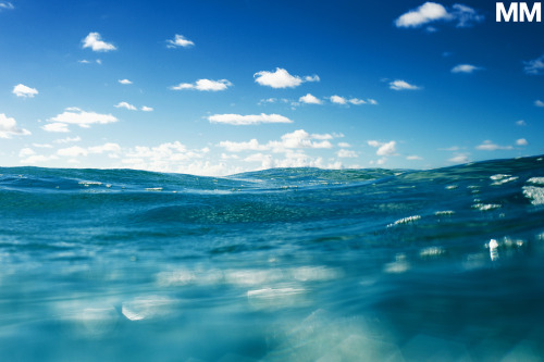 morganmaassen:another day at the races…