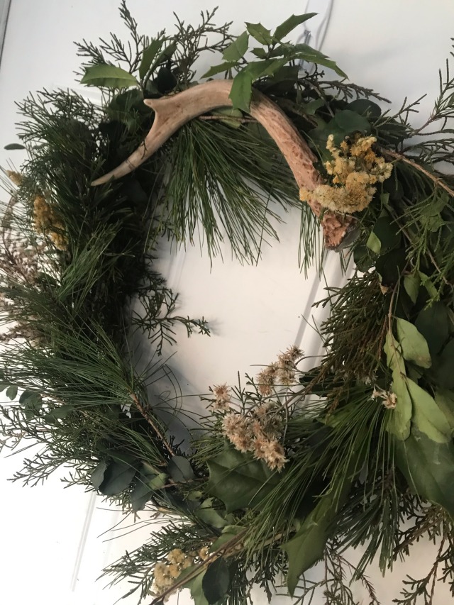 a circular wreath on a door with a deer antler in the top center of it. the wreath includes several types of evergreen as well as dried flowers and Holly branches.