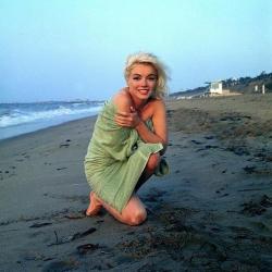 Sex Marilyn Monroe in one of her final photos pictures