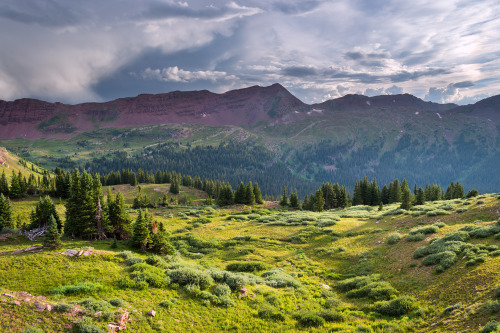 amazinglybeautifulphotography: Sunlit meadows in a valley, Rocky Mountains, uSA [OC] [2160x1440] - A