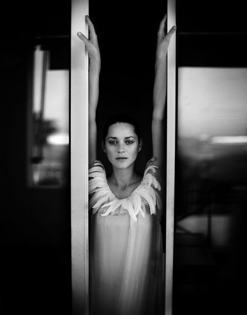 Marion Cotillard by Patrick Swirc