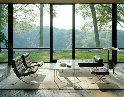 archbucketlist:  Glass House Philip Johnson porn pictures