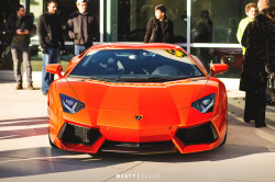 automotivated:  01.17.15 // Lamborghini Washington &amp; DC Exotics C&amp;C by meatyflush on Flickr.