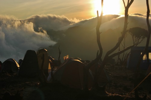 Kilimanjaro, Tanzania. Sunset above the clouds.