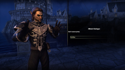 quartervirus: The ESO NPC Simulator Master Post Faux dialogue screens of my characters as they might