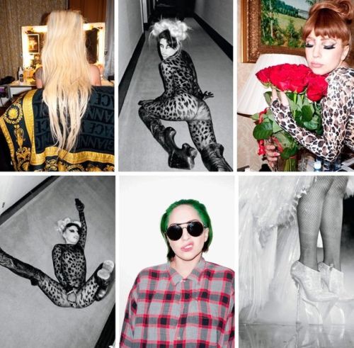 littlehookerofgaga:  Gaga X Terry porn pictures