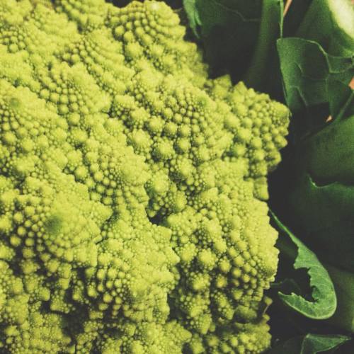 Nature has the best designs #cauliflower #fractal #infinity #design #vegetarian #trippie #vegetable 