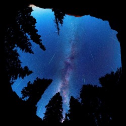 Discovering-Gravity:  Just–Space:  Colorado Perseid Meteor Shower Spherical Panorama