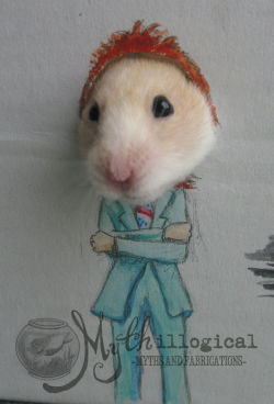 mythsandfabrications:My most popular post on Tumblr, which also went viral on the Internet and saw our pet hamster dubbed ‘The World’s Most Fashionable Hamster’ was this one- which was the result of my daughter and I being bored in the summer holidays
