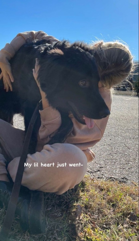 Tumblr media
