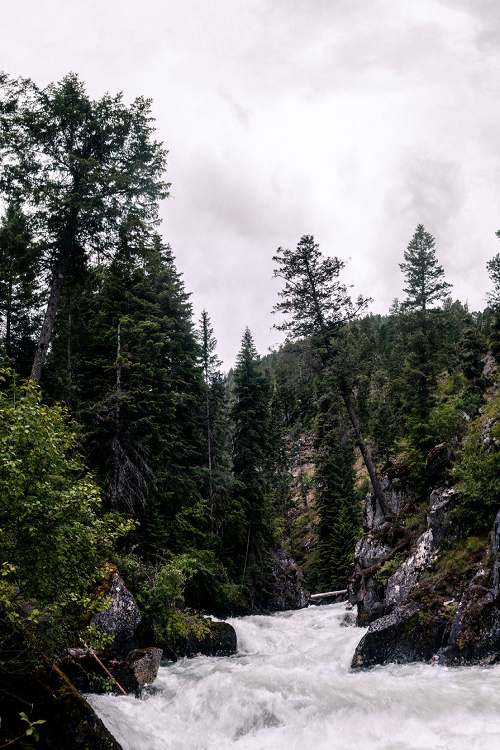 nordvarg:  Lostine River • Oregon                 